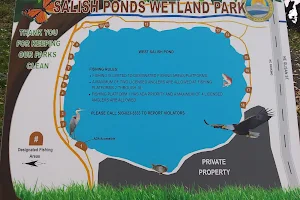 Salish Ponds Wetland Park image