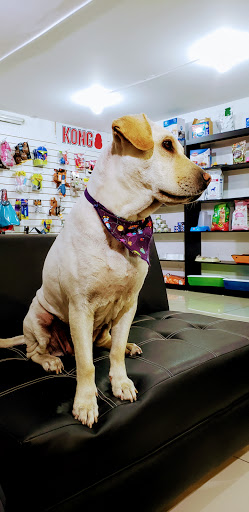 RUNRUNELA PELUQUERIA CANINA Y PET SHOP