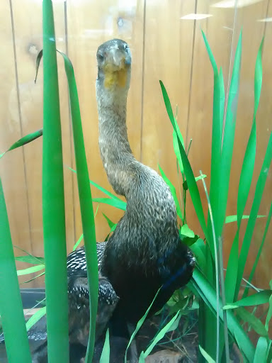 Pet Supply Store «PetSmart», reviews and photos, 211 W Alexander St A, Plant City, FL 33563, USA