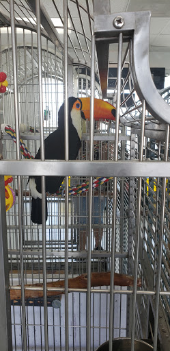 Pet Store «Animal Lovers Pet Shop», reviews and photos, 24028 Vista Montana, Torrance, CA 90505, USA