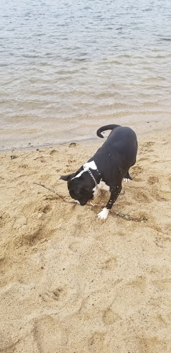 Park «Goodwill Park», reviews and photos, 416 Green St, Holliston, MA 02540, USA