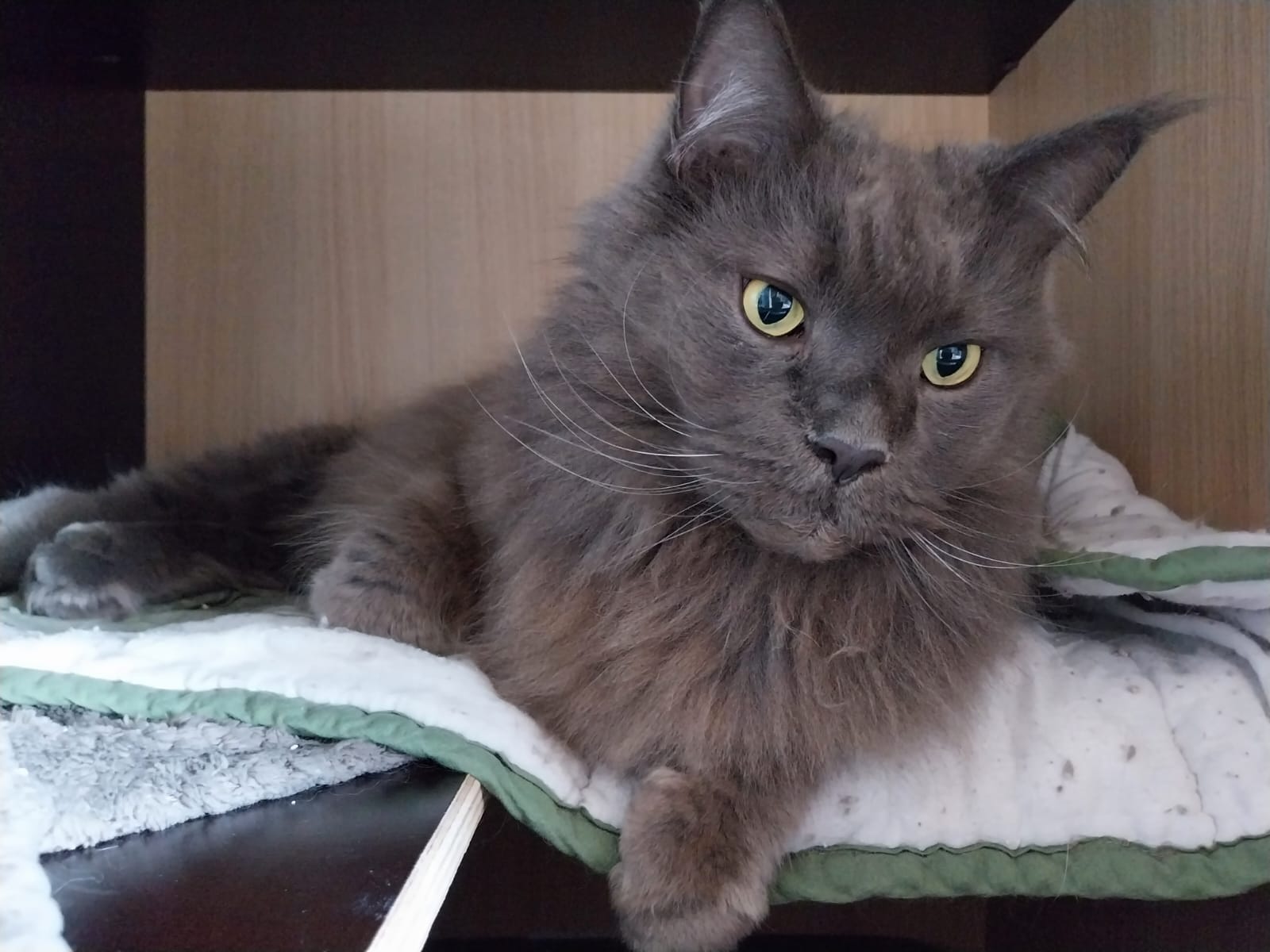 Photo n° 1 de l'avis de Lisa.O fait le 29/11/2023 à 10:08