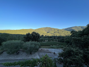 Photo n°35 de Le Magnan à La Mole ()
