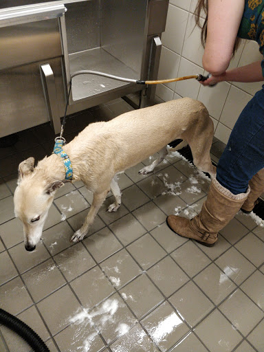 Pet Supply Store «PetPeople», reviews and photos, 4631 Everhard Rd NW, Canton, OH 44718, USA