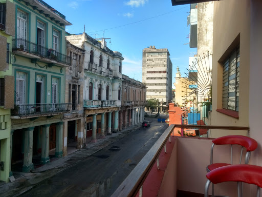 Casas de madera en arboles de Habana