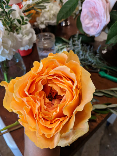 Florist «Pollen», reviews and photos, 2918 N Milwaukee Ave, Chicago, IL 60618, USA