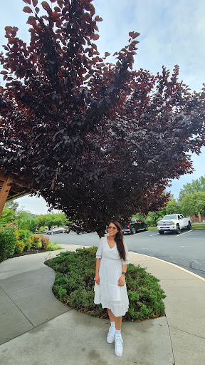 Shopping Mall «Seminole Square Shopping Center», reviews and photos, 200 Zan Rd, Charlottesville, VA 22901, USA