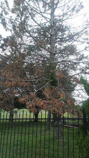 Golf Course «Willowbend Golf Club», reviews and photos, 8001 E Mulberry Dr, Wichita, KS 67226, USA