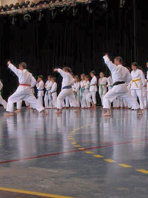 Karaté Club Dracénois à Draguignan