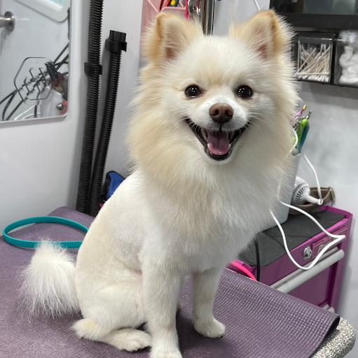 Tattoo Shop «Forever Ink», reviews and photos, 28 S Plainfield Ave, South Plainfield, NJ 07080, USA