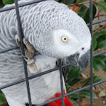 Photo n° 2 de l'avis de Kéké. fait le 29/07/2022 à 14:59 pour Exotic Park, zoo de Lescar à Lescar