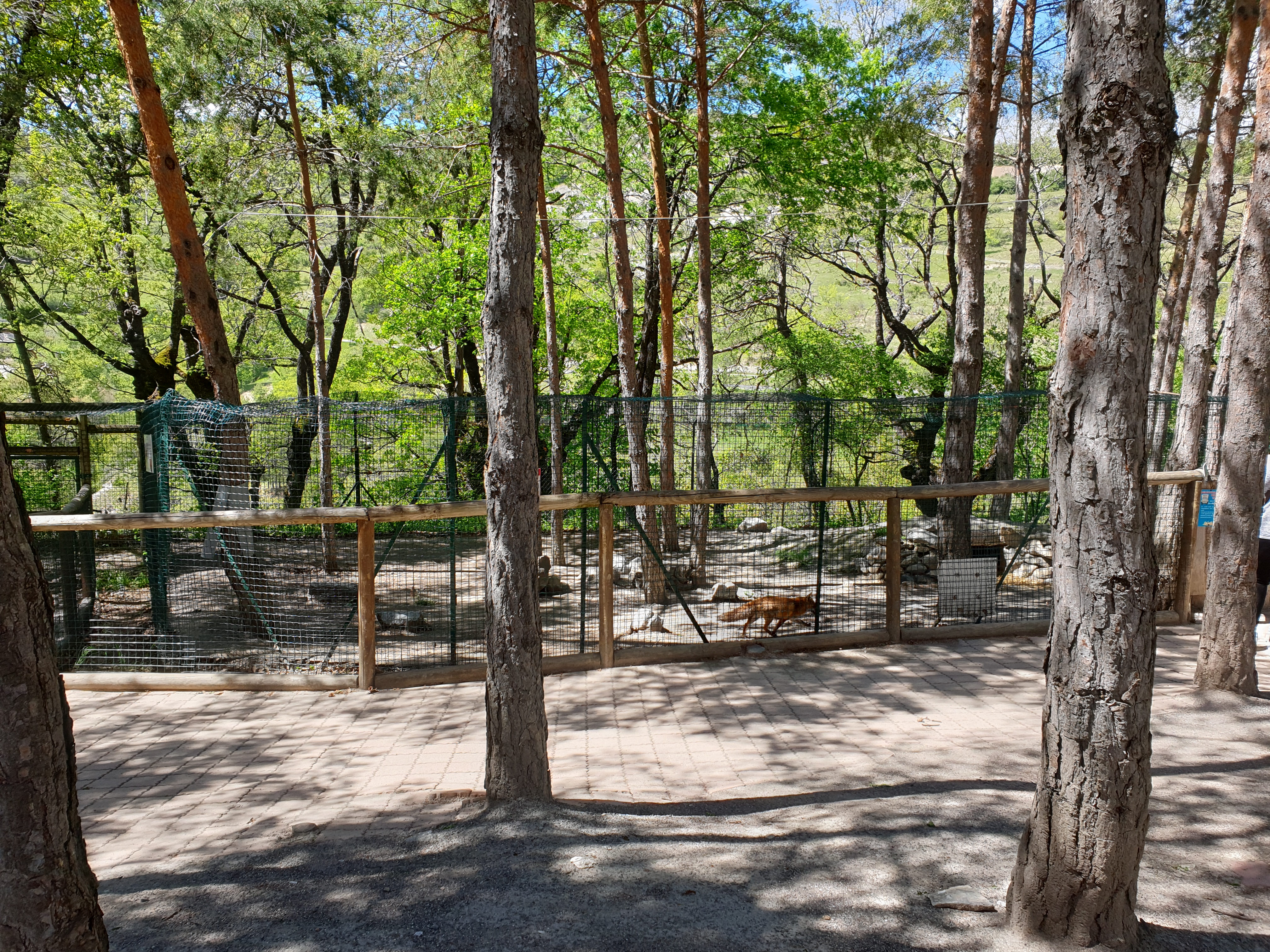 Photo n° 3 de l'avis de Nadège.e fait le 13/06/2019 à 17:22