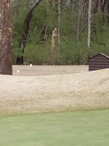 Golf Course «Northwood Country Club», reviews and photos, 3157 Club Dr, Lawrenceville, GA 30044, USA