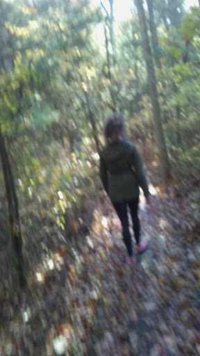 Nature Preserve «Wildlands Trust - Willow Brook Farm Preserve», reviews and photos, 99 Barker St, Pembroke, MA 02359, USA