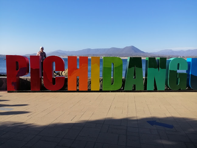 Pichidangui Expediciones - Los Vilos
