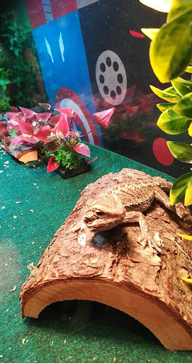 Pet Supply Store «PetSmart», reviews and photos, 479 River Hill Dr, Ashland, KY 41101, USA