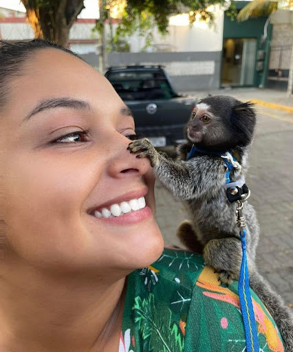 Willows Paradise Monkeys