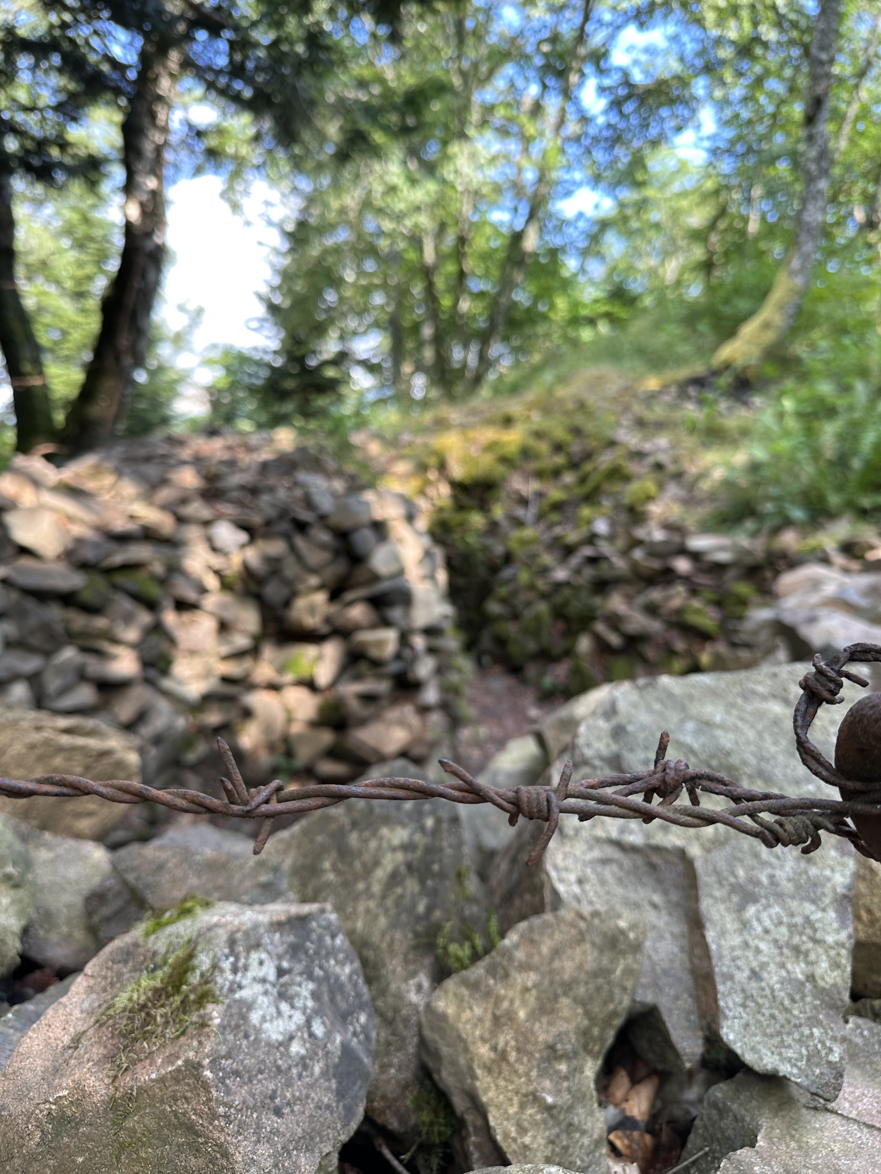 Photo n° 2 de l'avis de Zunst.u fait le 12/07/2023 à 19:54