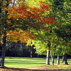 Golf Driving Range «Hillendale Golf Course», reviews and photos, 218 Applegate Rd N, Ithaca, NY 14850, USA