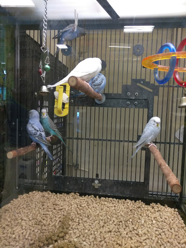 Pet Supply Store «PetSmart», reviews and photos, 1203 N Landing Way, Renton, WA 98057, USA