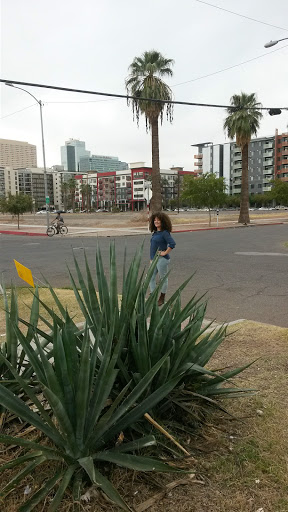 Movie Studio «Monorchid Creative Studios / Event / Wedding Venue», reviews and photos, 214 E Roosevelt St, Phoenix, AZ 85004, USA