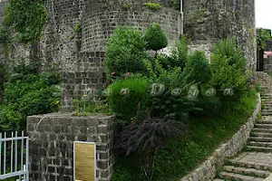 Rize Fortress image