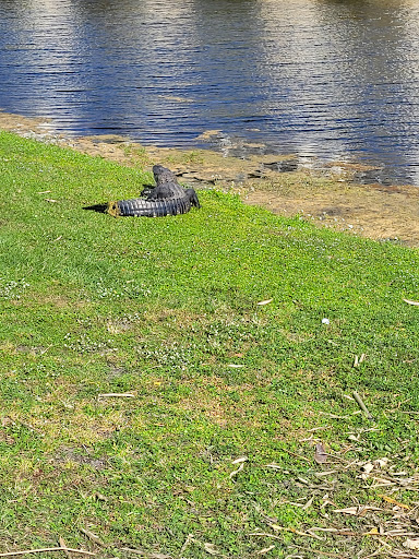 Golf Club «East Bay Golf Club», reviews and photos, 702 Country Club Dr, Largo, FL 33771, USA