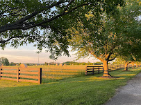 Haven on the Farm - Photo 6 - Car repair in Edwards, IL, Peoria