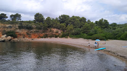 Photo de Platja Cala Maria avec petite baie