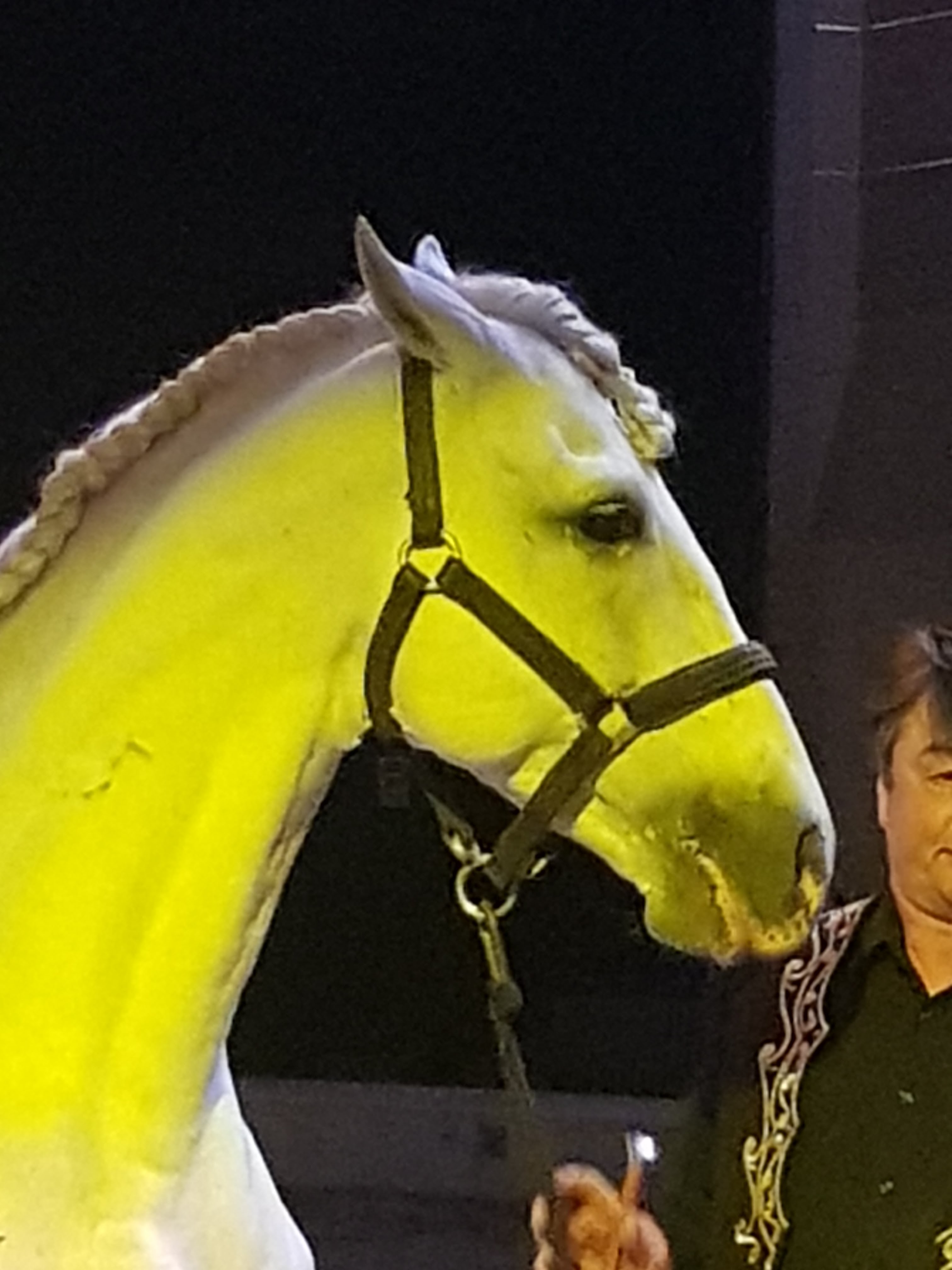 Photo n° 3 de l'avis de Michel.o fait le 14/03/2019 à 17:28
