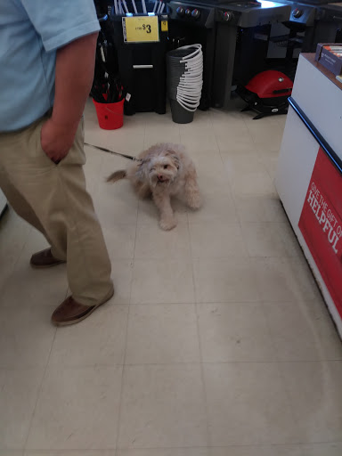 Hardware Store «Ace Peninsula Hardware», reviews and photos, 12490 Warwick Blvd, Newport News, VA 23606, USA