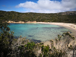Foto di Cala di Conca e il suo bellissimo paesaggio