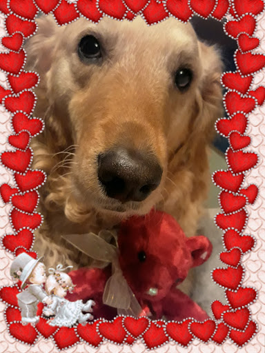 4404 Edgar Park Ave a, El Paso, TX 79904, USA