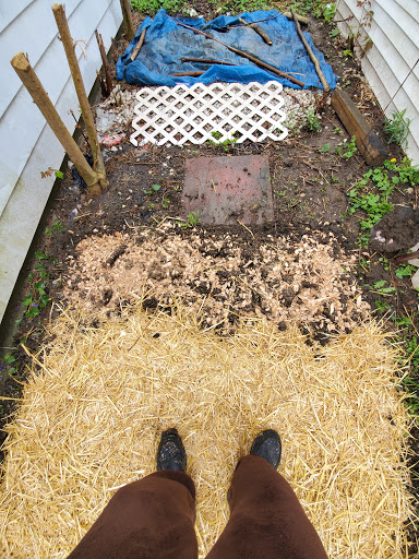 Pet Supply Store «Pet Needs Etc», reviews and photos, 5664 N Telegraph Rd, Dearborn Heights, MI 48127, USA