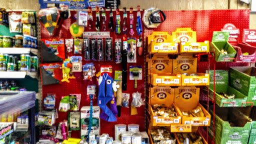 Pet Store «Moby Dick Pet Store Inc», reviews and photos, 3700 Sashabaw Rd, Waterford Twp, MI 48329, USA