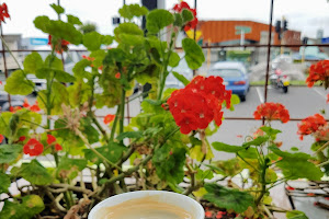 Cafe Korero