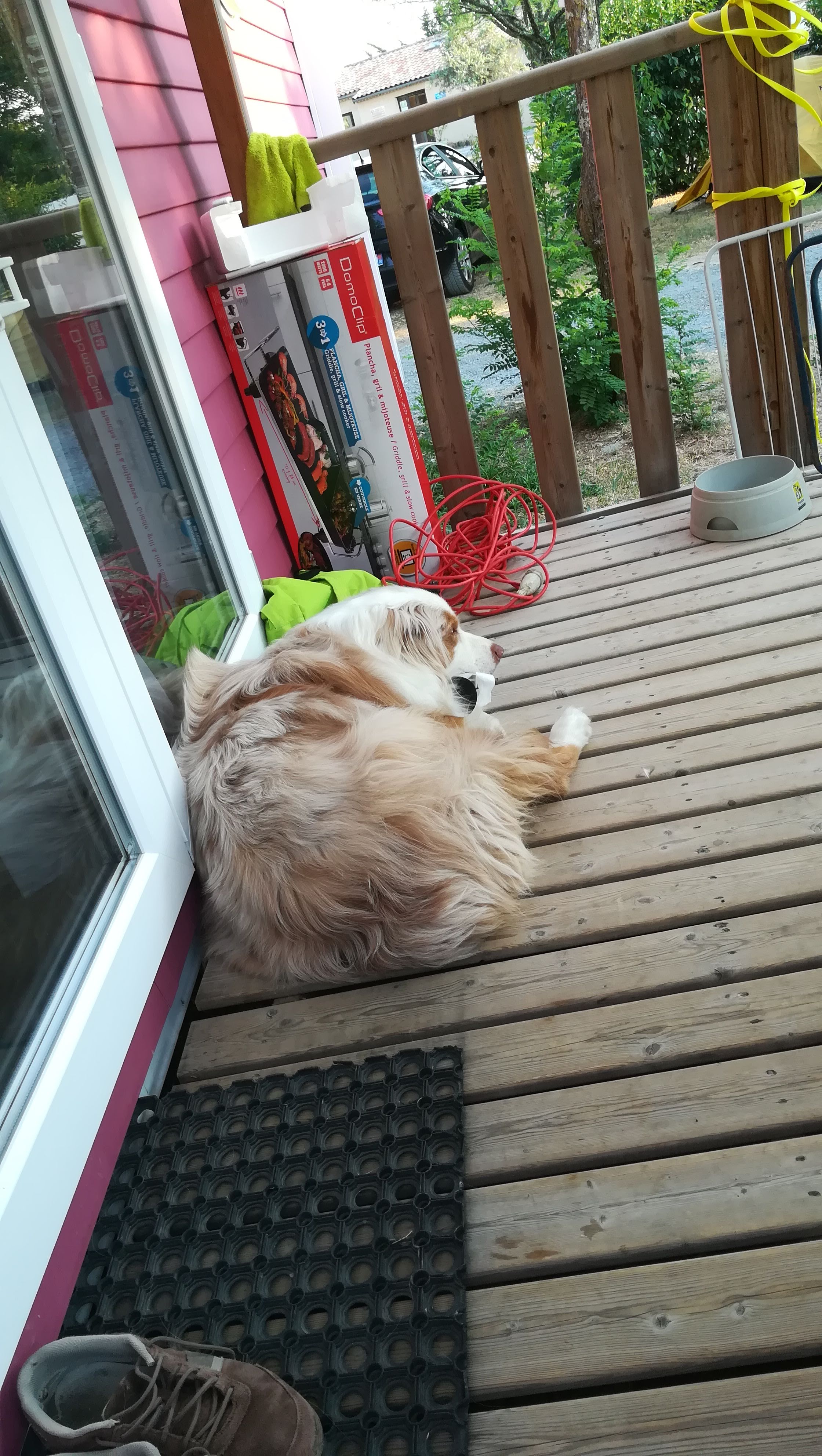 Photo n° 4 de l'avis de Stéphanie.e fait le 09/08/2018 à 05:47