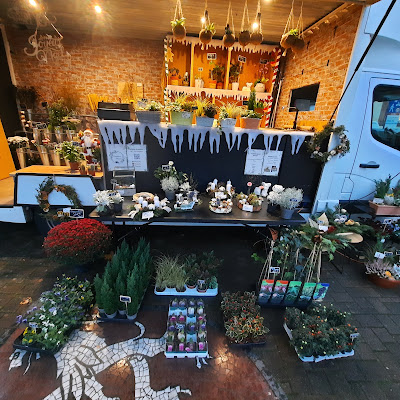 Croisière Fleurs à Phalsbourg