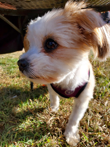 Winery «Priam Vineyards», reviews and photos, 11 Shailor Hill Rd, Colchester, CT 06415, USA