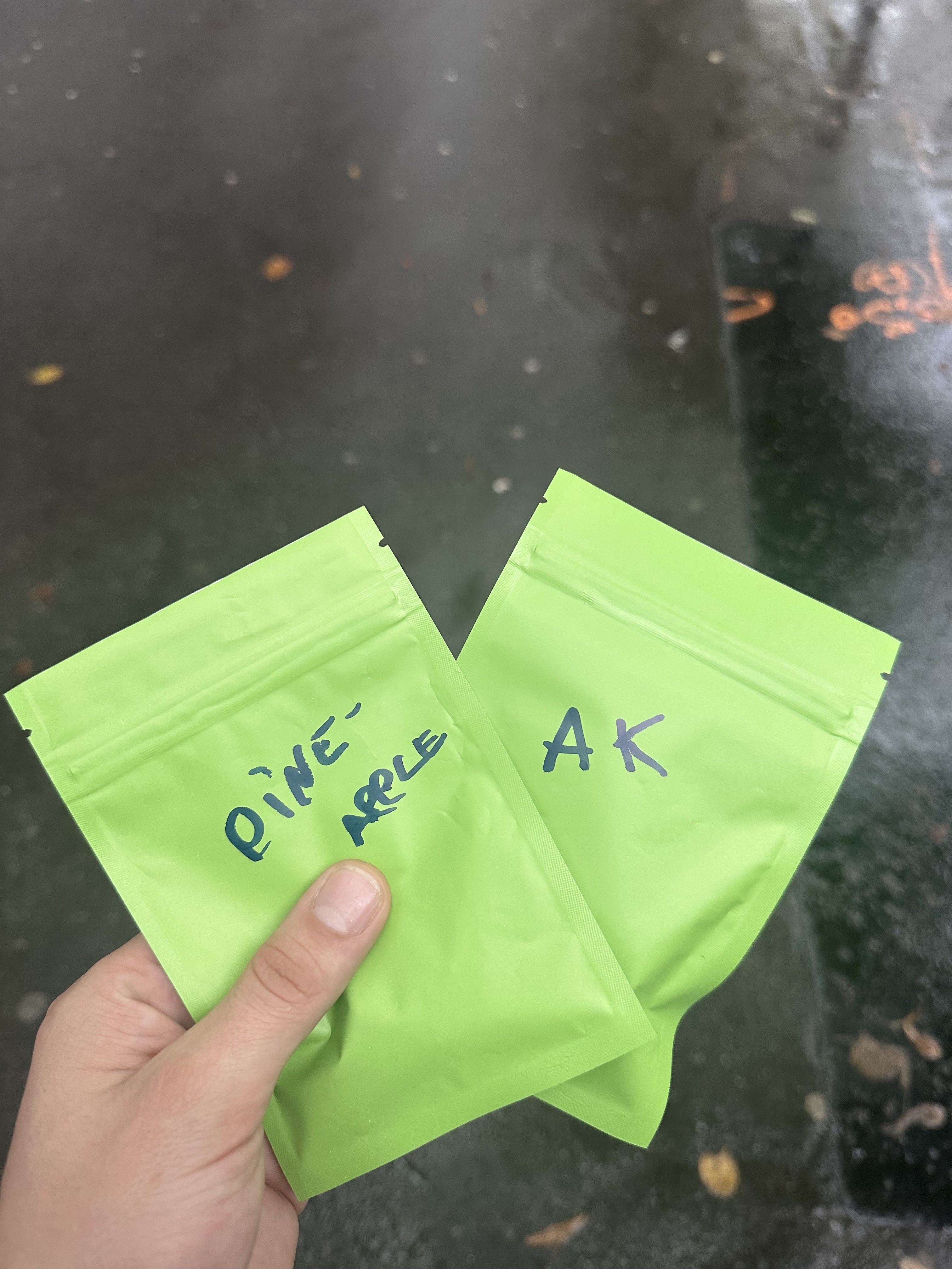 Photo n° 2 de l'avis de Gaspar.� fait le 23/10/2023 à 15:45