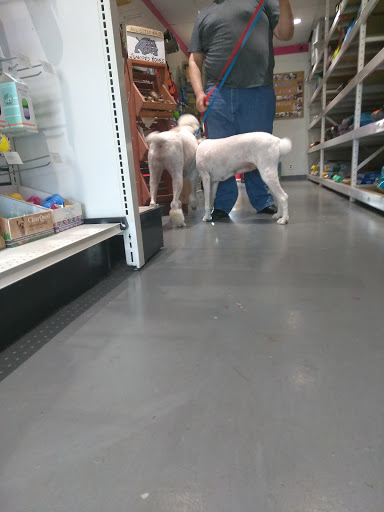 Pet Groomer «Pet Choice», reviews and photos, 4203 MacArthur Blvd, Oakland, CA 94619, USA