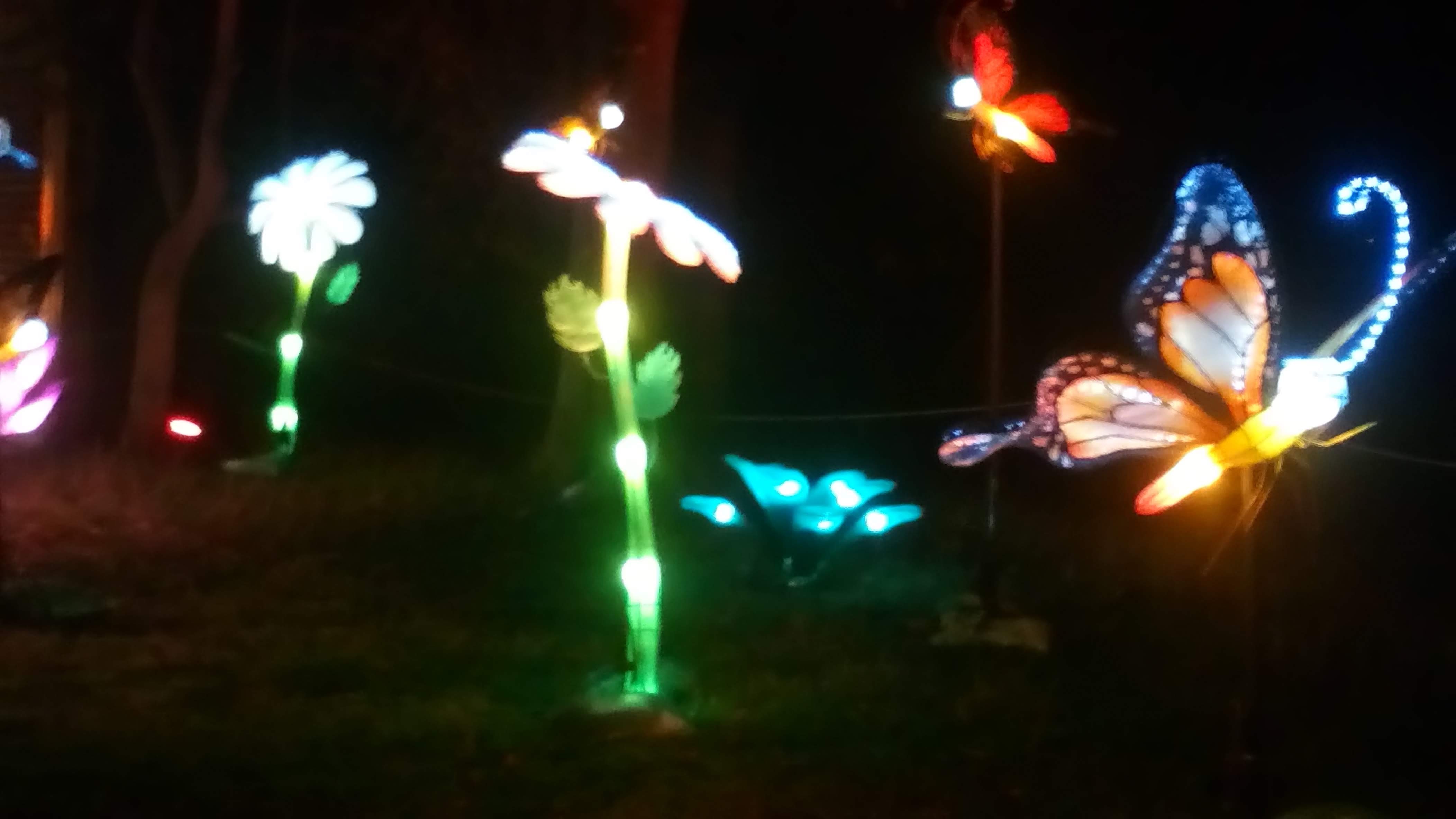 Photo n° 2 de l'avis de Veronique.A fait le 31/12/2019 à 19:05