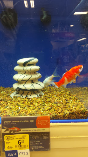 Pet Supply Store «PetSmart», reviews and photos, 47142 Michigan Ave, Canton, MI 48188, USA
