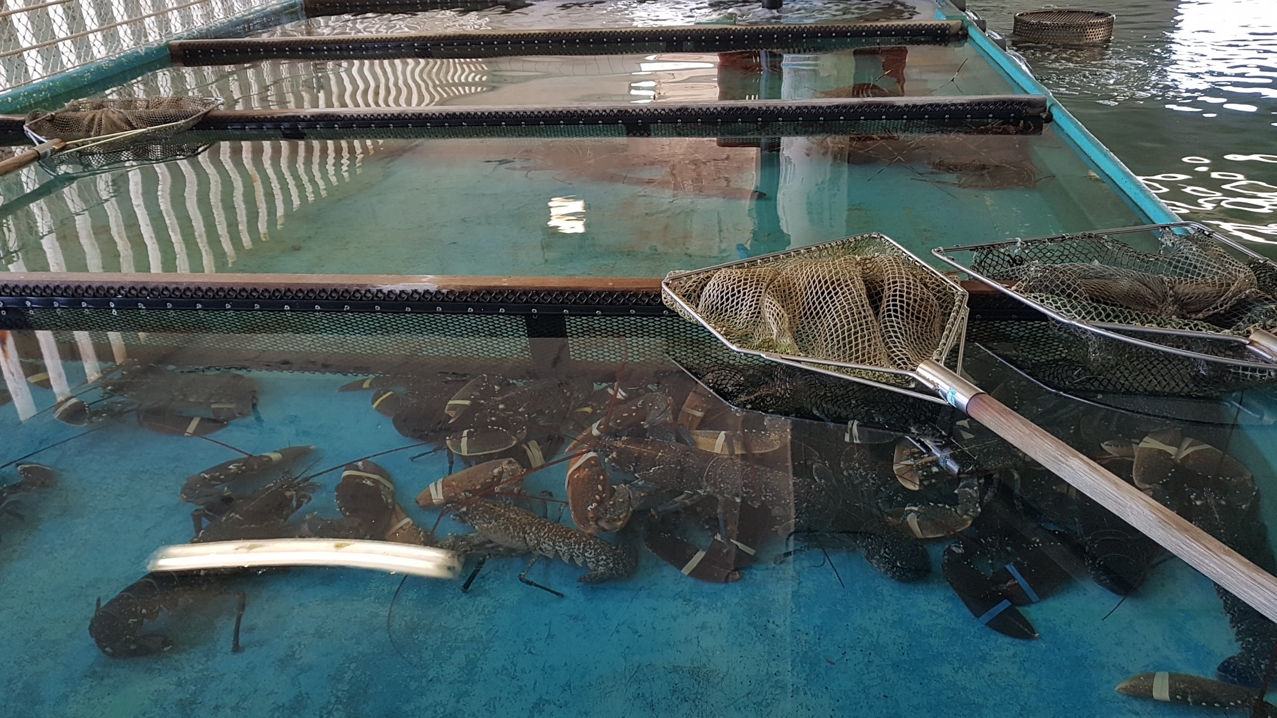 Photo n° 2 de l'avis de laurent. fait le 19/05/2019 à 13:27