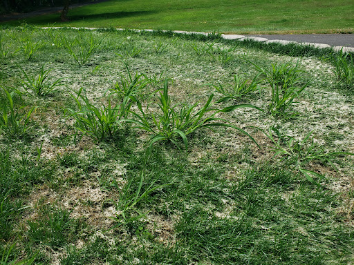 Landscaping Supply Store «Walrath Landscape Supply», reviews and photos, 4521 56th St NW, Gig Harbor, WA 98335, USA