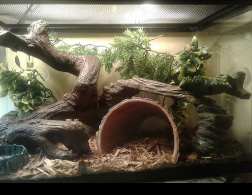 Pet Supply Store «PetSmart», reviews and photos, 3780 Riverchase Village #300, Hoover, AL 35244, USA