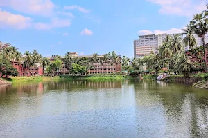 FH Hall Pond Side image