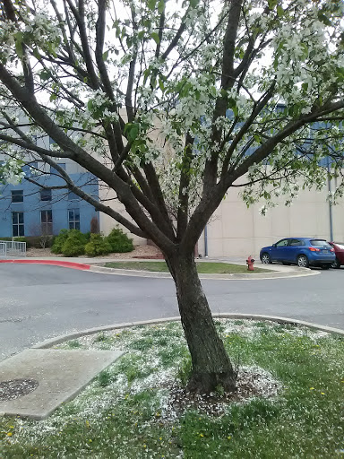 Non-Profit Organization «Harvesters - The Community Food Network», reviews and photos