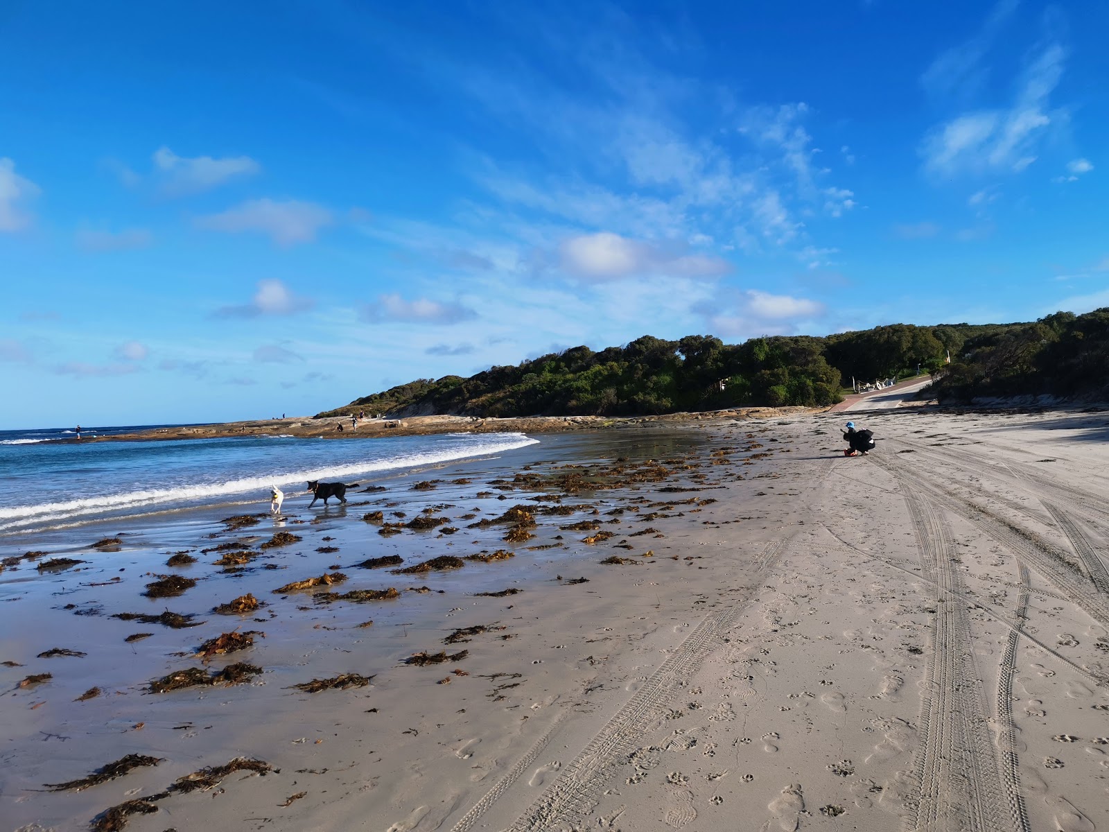 Parry Beach'in fotoğrafı - rahatlamayı sevenler arasında popüler bir yer