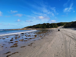 Zdjęcie Parry Beach położony w naturalnym obszarze